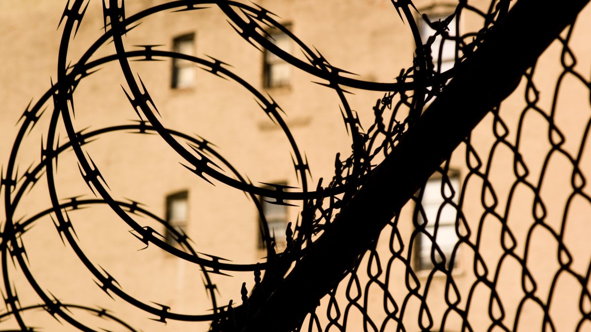 UN Committee Finds De Facto State Policy of Torture in Israeli Prisons