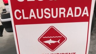 Signs posted along the beach in Coronado after a juvenile shark made contact with a swimmer.