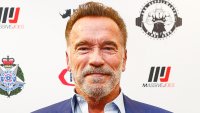 Arnold Schwarzenegger Involved in Calif. Crash That Left SUV on Top of Prius