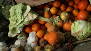 File image of a box of food scraps.