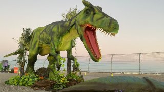 An image of an animatronic dinosaur from the Jurassic Quest Drive Thru.