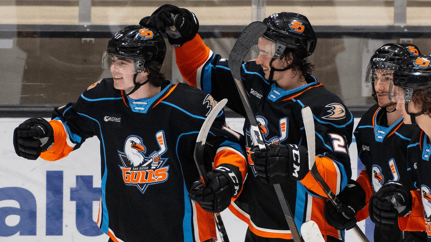 Gulls 2021 22 Schedule Revealed NBC 7 San Diego gulls-2021-22-schedule-revealed-nbc-7-san-diego