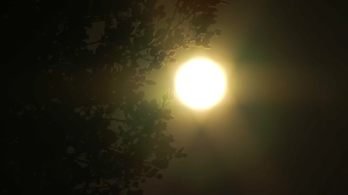Here's Where Temperature Records Were Broken in San Diego County on Sunday - Vimarsana News