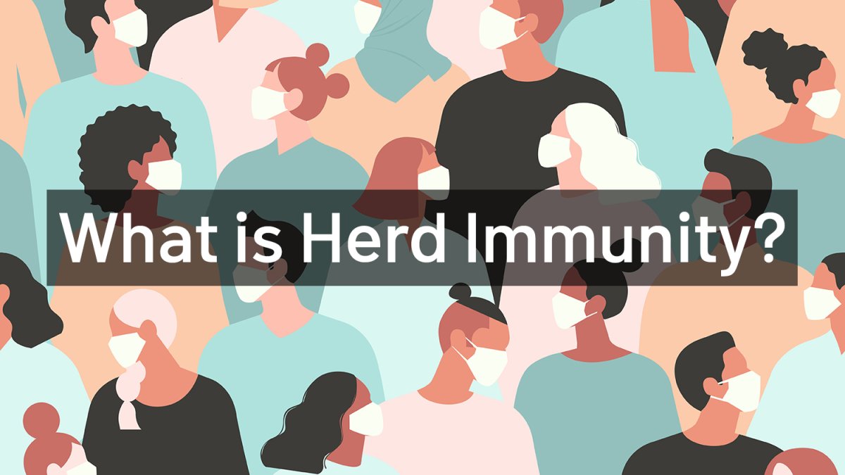 What Percentage of Vaccination Is Needed for Herd Immunity? – NBC 7 San ...