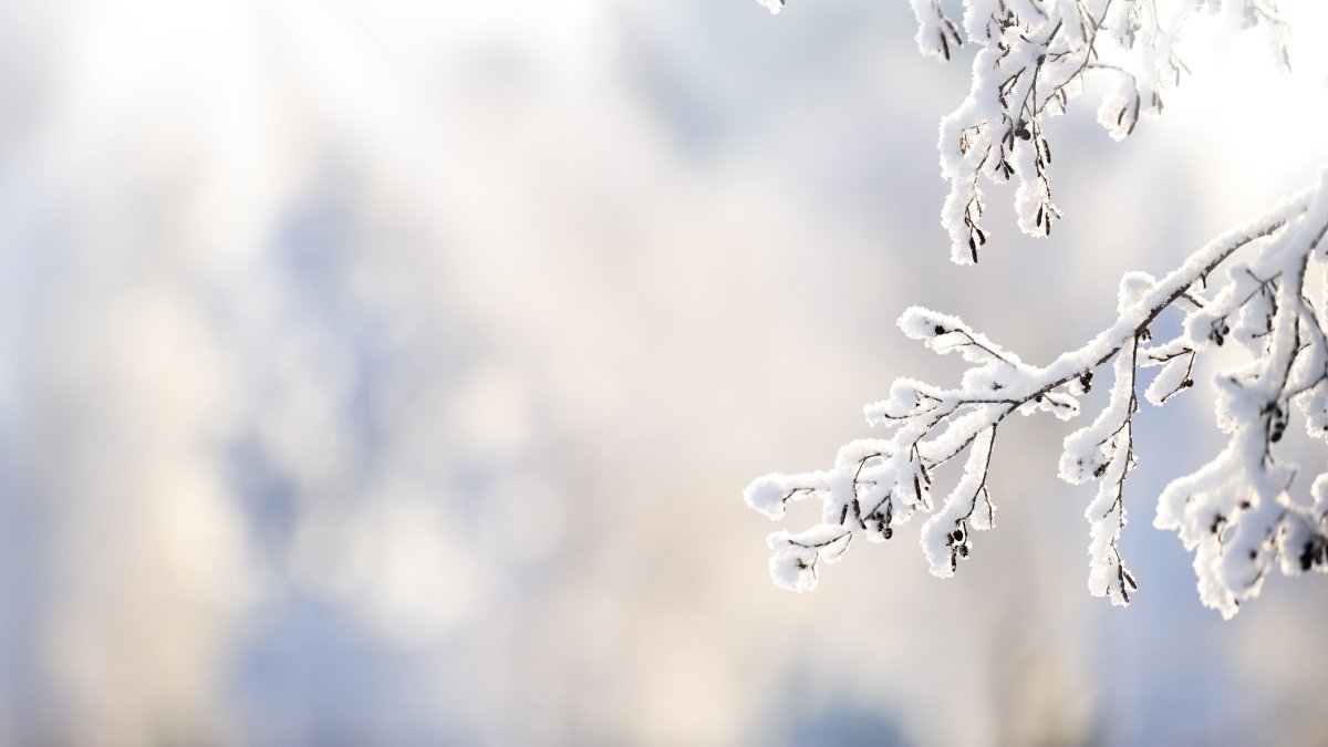 Winter Storm Bringing Rain, Snow to San Diego County – NBC 7 San Diego - Vimarsana News
