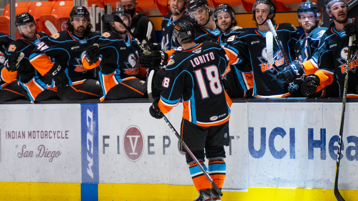 San Diego Gulls Hockey Club Home