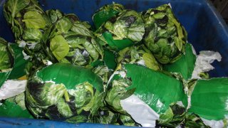 The meth bundles were wrapped in green tape and photos of spinach leaves, mixed into a shipment of fresh spinach that a driver tried to haul across a checkpoint in Otay Mesa on March 10, 2021.