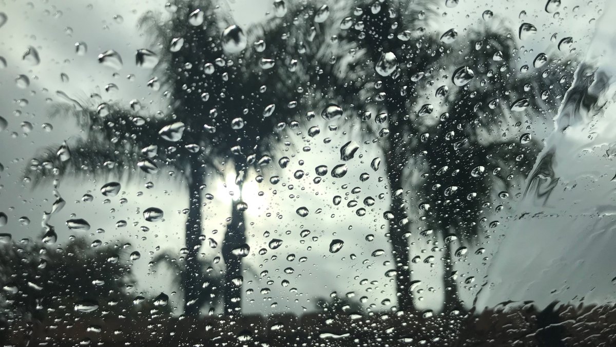 San Diego Rain Christmas 2022 San Diego Gets Rain For Christmas – Nbc 7 San Diego