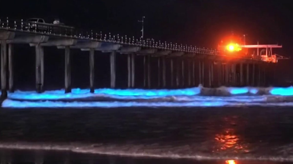 Bioluminescence Returns to SoCal Coast NBC 7 San Diego