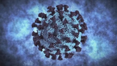 COVID cases rise to 14% in San Diego County, prompting vaccination and testing calls