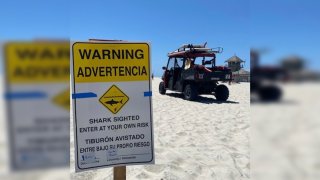 Shark Sign in Coronado Beach