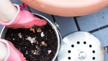 The rich, organic material made from composting can be used as a plant fertilizer in your garden.