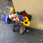 Recordando a Taylor Kahle: Muerte trágica en el centro de San Diego
