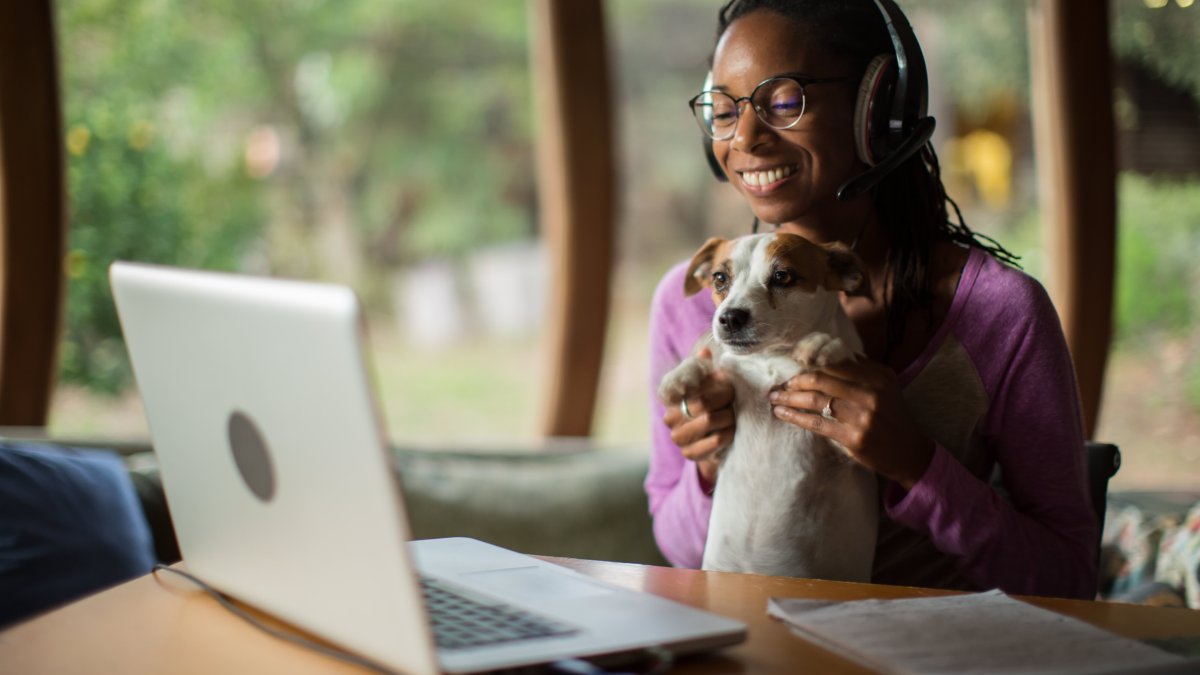 High Tech Tools to Help Find Your Lost Pet - Vimarsana News