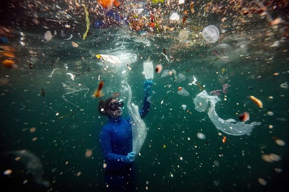 'Most Important Climate Deal Since Paris': UN Agrees Treaty to End Scourge of Plastic Pollution – NBC 7 San Diego - Vimarsana News