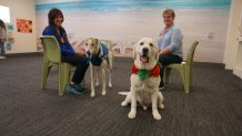 Volunteers regularly bring dogs to the Psychiatric Services Unit at Las Colinas Detention and Reentry Facility in Santee to spend time with inmates. These sweet pups are form the “Love on a Leash” program.