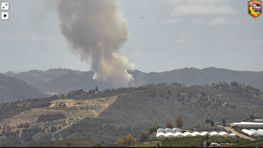 Deer Springs Brush Fire