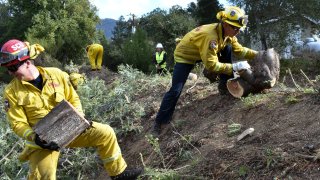 In this Nov. 20, 2019, file photo a fire prevention crew hauls away sections of a tree they cut down near Redwood Estates, Calif. California Gov. Gavin Newsom has vastly overstated wildfire prevention work done under his administration according to an investigation by Capital Public Radio published Wednesday, June, 23, 2021.