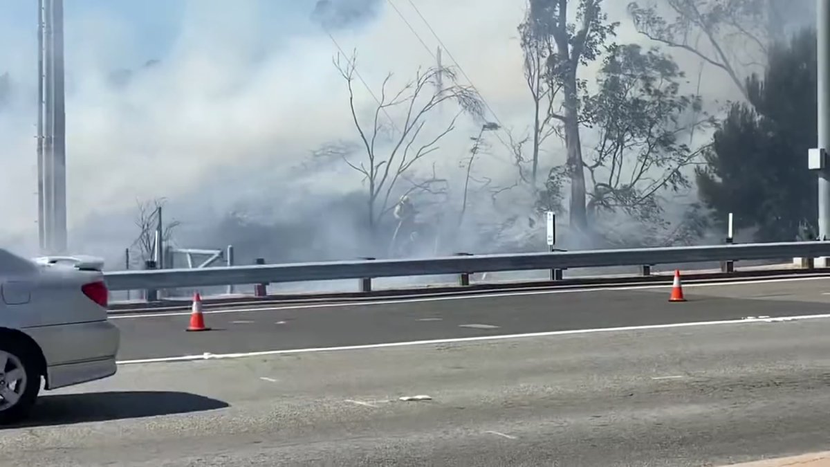 Brush Fire Along I-805 Slowing Traffic Along H Street – NBC 7 San Diego
