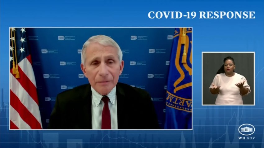 Fauci: Delta Variant is ‘Greatest Threat' to Eliminating COVID in U.S.