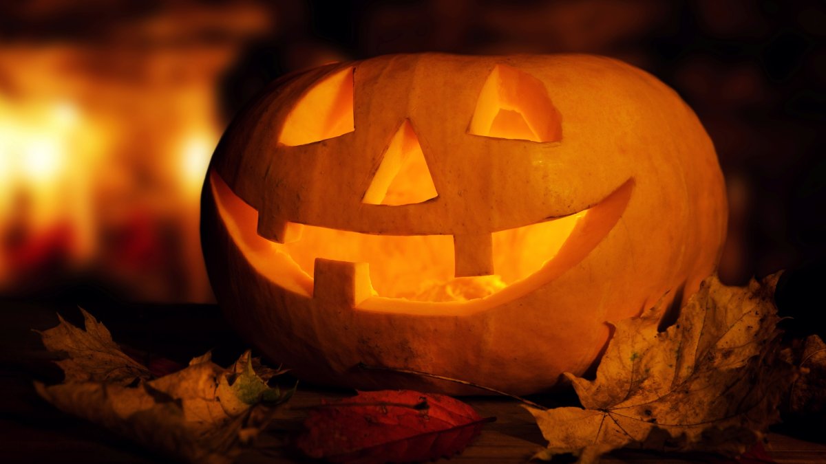 Halloween in San Diego County: haunted houses, pumpkin patches and parties – NBC 7 San Diego - Vimarsana News
