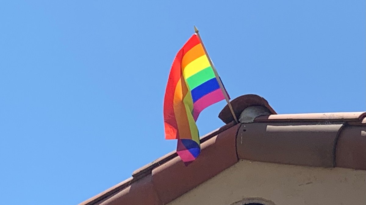 Scripps Ranch Residents Say Thieves Stealing Pride Flags, Black Lives ...