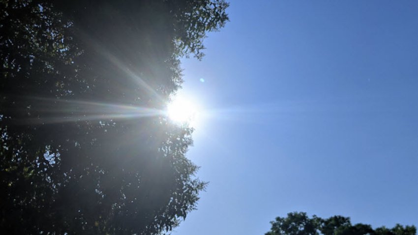 The sun shines through the trees on a hot day. (June 23, 2021)