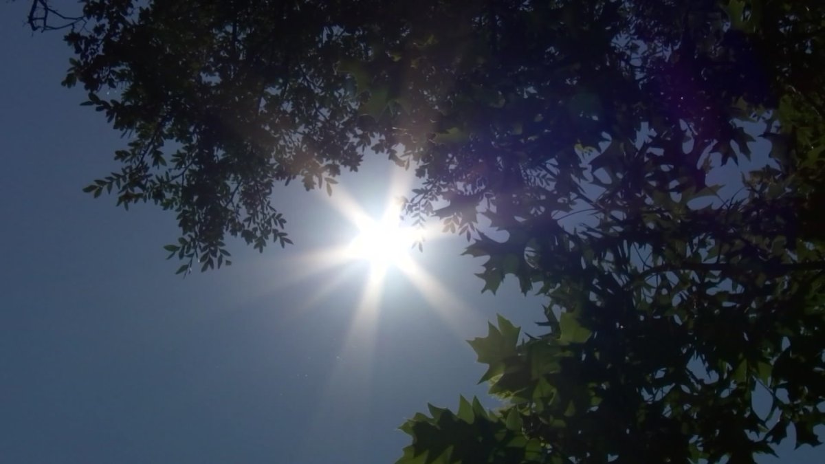 San Diego Weather July 12: Extreme Heat With Cool Down Ahead – NBC 7