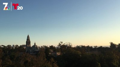 Your Guide to a Fully Reopened San Diego Zoo