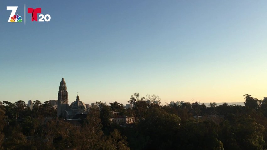 Your Guide to a Fully Reopened San Diego Zoo
