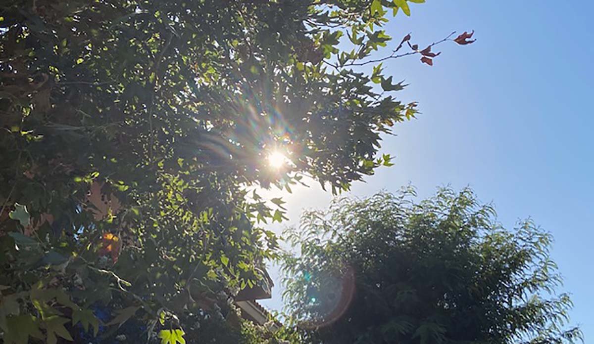 San Diego County Braces for Extended Heat Wave