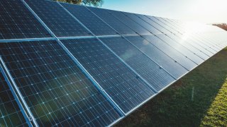 Farming and Solar Power Set to Combine in Netherlands-Based Pilot Project