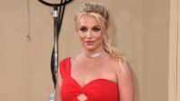 Britney Spears video of her dancing with knives prompts police wellness check