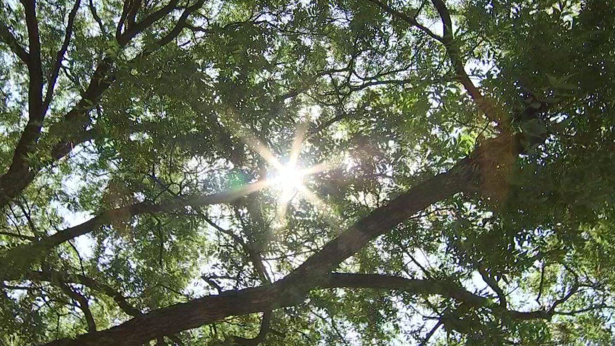 San Diegans Brace For Fourth Of July Weekend Heat – Nbc 7 San Diego