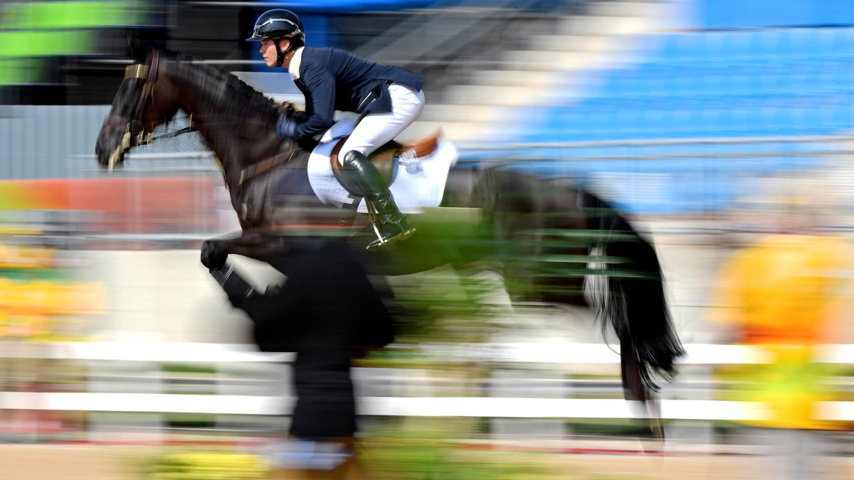 How to Watch Equestrian at the Tokyo Olympics NBC 7 San Diego