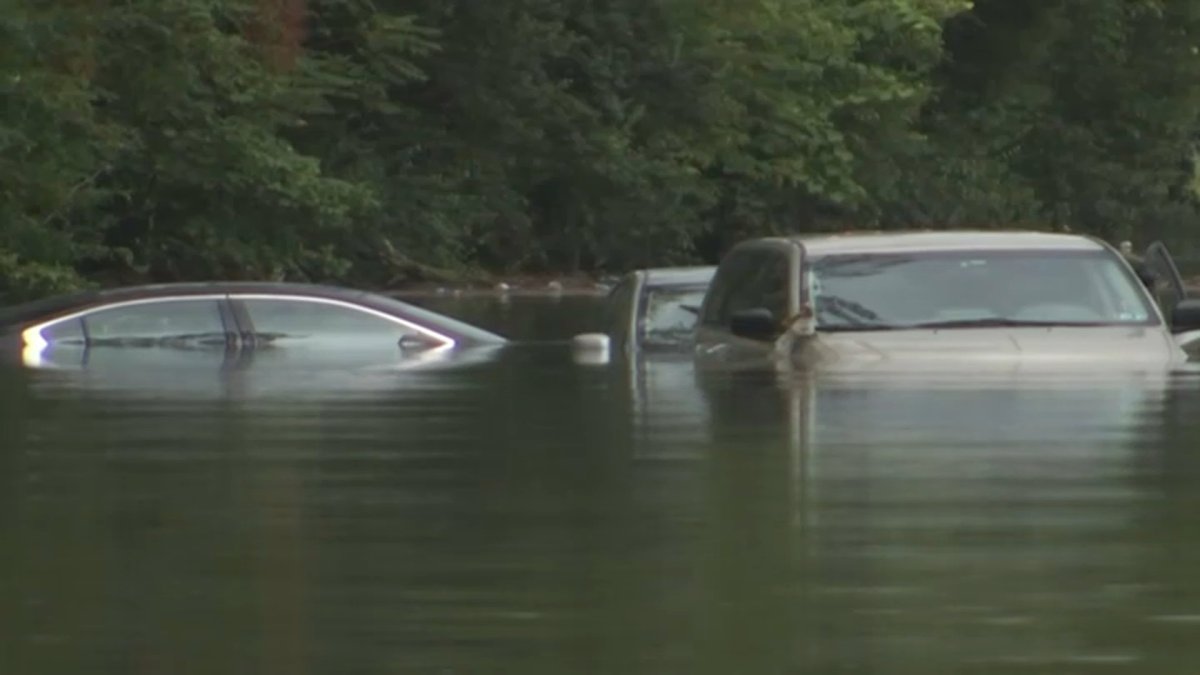 How to Tell if You're Buying a Flood Car in San Diego – NBC 7 San Diego - Vimarsana News