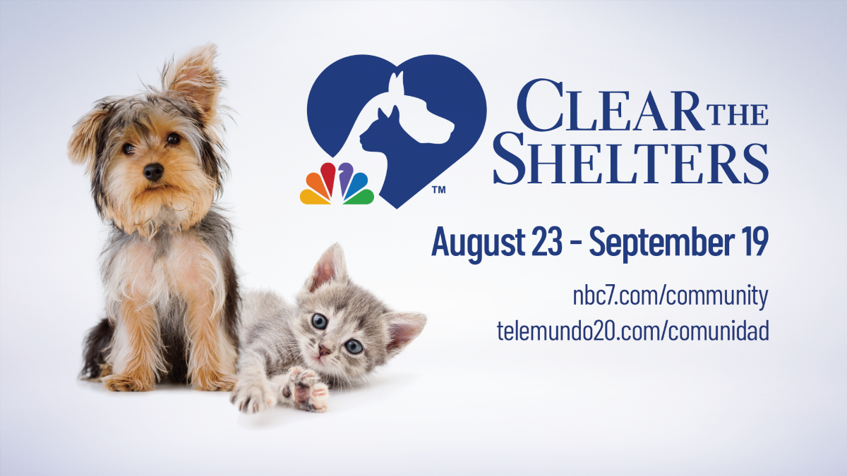 Clear the Shelters What San Diego Needs to Know About Animal Adoption