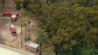 Fire crews battle blaze in Balboa Park