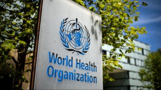 World Health Organization (WHO)