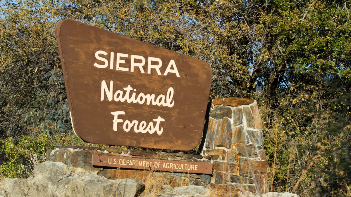 Family That Died in California Mountains Made Desperate Plea - Vimarsana News
