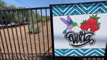 A painting featuring a hummingbird and strawberries atop the word "Vista."