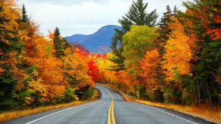 foliage autumn white mountains new hampshire