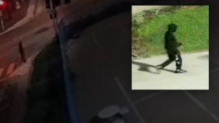 Suspect in Lincoln Park Sex Assaults