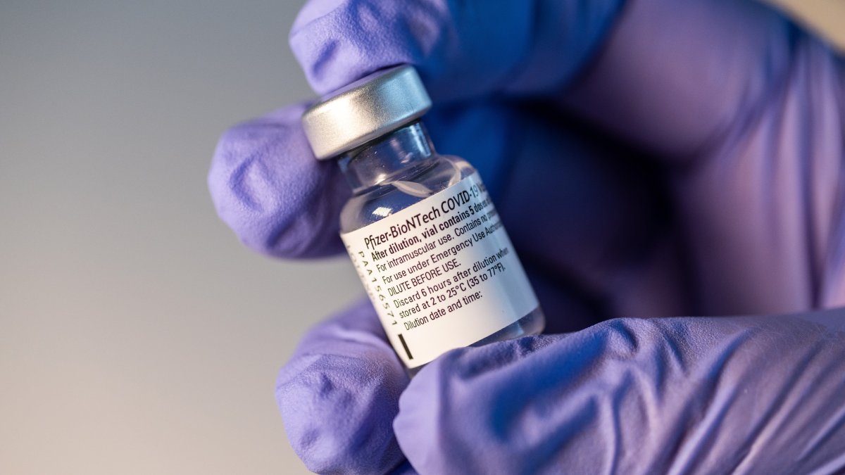 Pfizer and BioNTech Investigating New Covid Variant, as J&J Tests Vaccine Against Mutated Virus - Vimarsana News