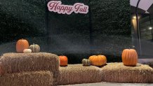 Visitors can pose with pumpkins in front of this backdrop at Belmont Park.
