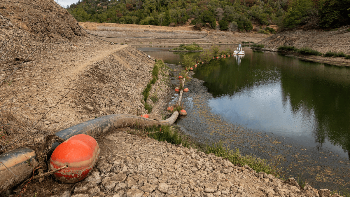Climate Change Makes Drought Recovery Tougher – NBC 7 San Diego - Vimarsana News