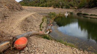 Phoenix Lake during a drought in Ross, California.