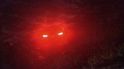 Passengers Escape Vehicle After Crashing Off Sunset Cliffs