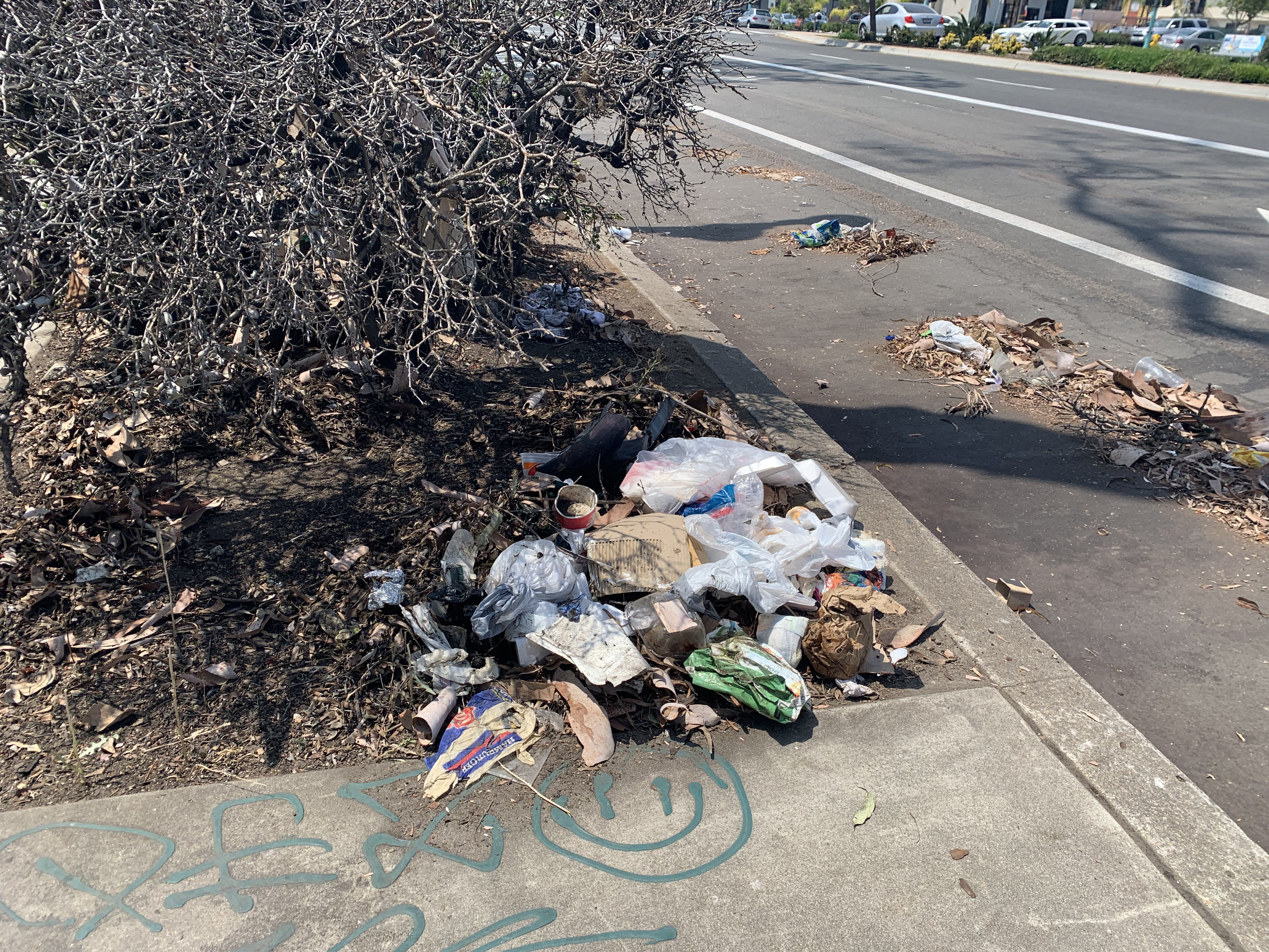 Photos Trash, Needles, Human Waste Litter San Diego Sidewalks NBC 7