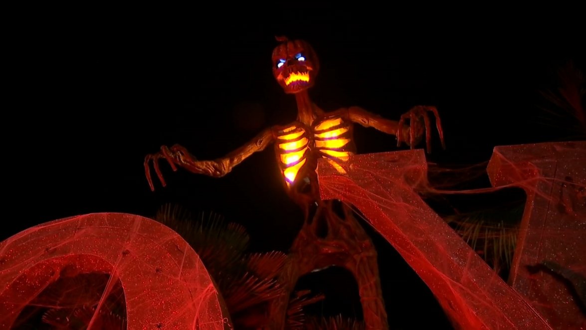 Caught on Camera: Neighbor Scares Off Man Trying to Steal 12-Foot ...